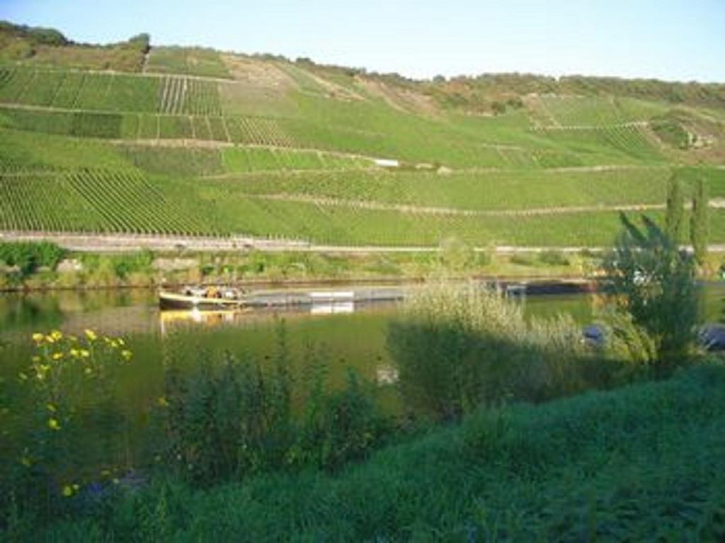 Hotel Weinhaus Weis Leiwen Exteriör bild
